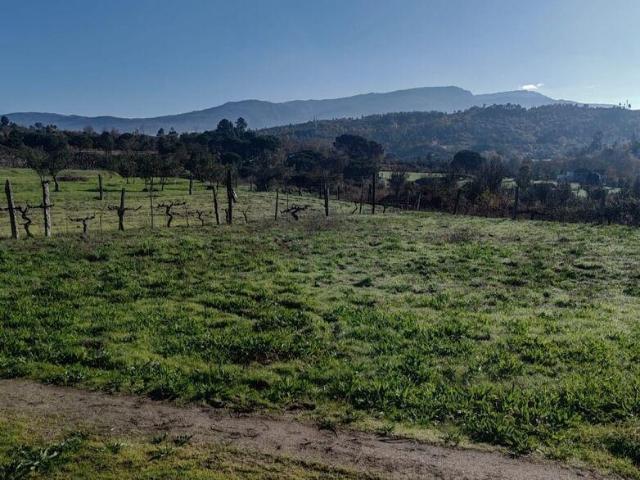 Terreno venda em Gavinhos de Cima, Oliveira Do Hospital