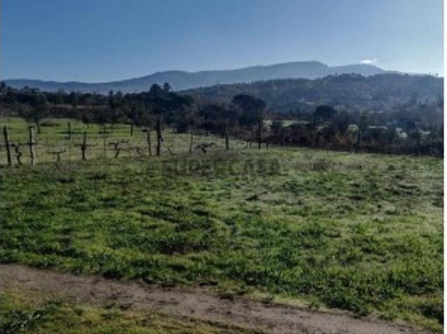 Terreno venda em Gavinhos de Cima, Oliveira Do Hospital