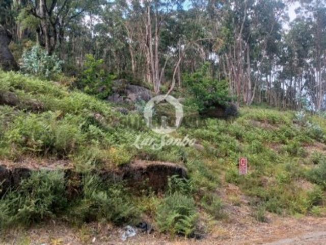 Terreno venda em Oliveira (São Mateus), Gavião