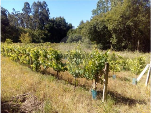 Terreno venda em Oliveirinha, Aveiro