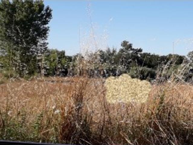 Terreno venda em Aveiro