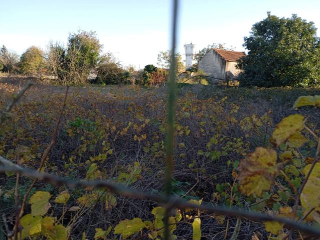 Terreno venda em Oliveirinha, Aveiro