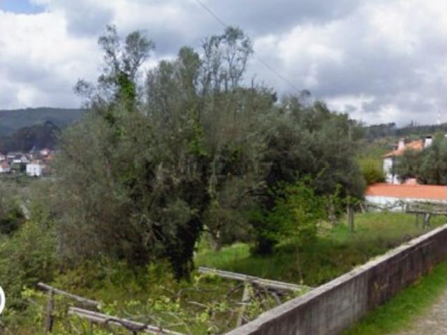 Terreno venda em Caminha Terreno venda em Caminha