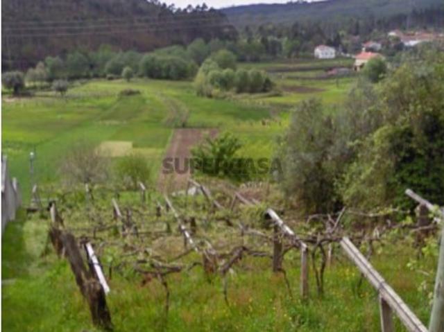 Terreno venda em Caminha Terreno venda em Caminha