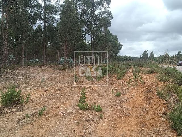 Terreno venda em Mação, Santarém