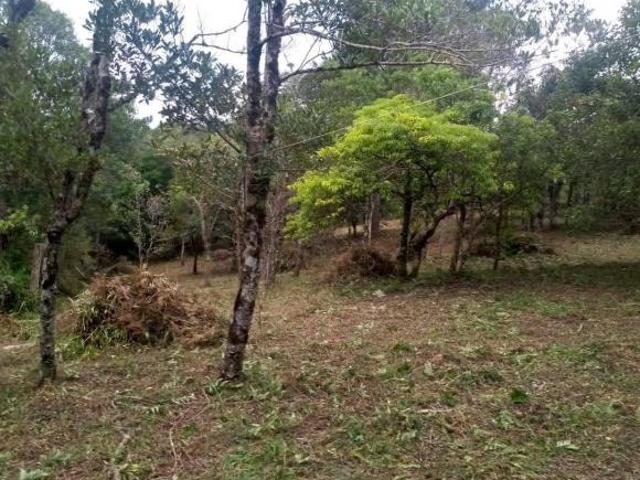 Terreno venda em Região Geográfica Imediata de Tramandaí - Osório, Aglomeração Urbana do Litoral Norte