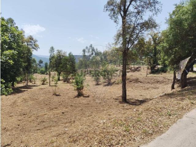 Terreno venda em Oliveira De Azeméis, Aveiro