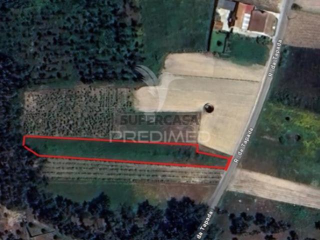 Terreno venda em Fonte da Costa, Ponte De Vagos