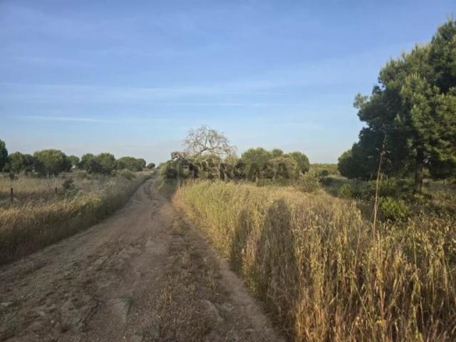 Terreno venda em Piçarras, Castro Verde