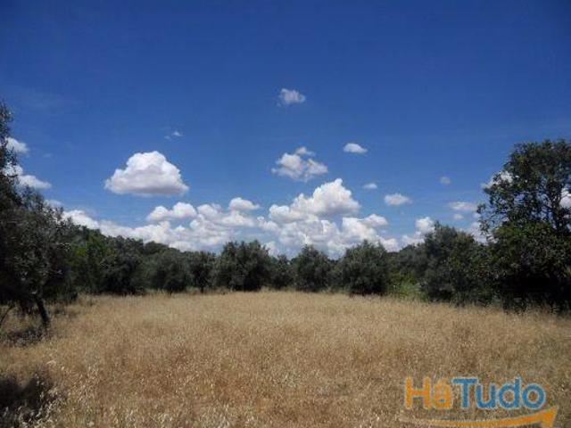 Terreno venda em Ourique, Beja