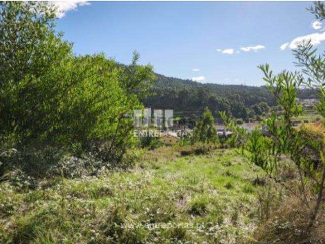 Terreno venda em Viana Do Castelo