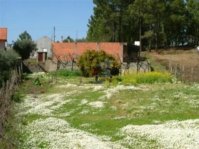 Terreno venda em Castelo Branco, Cumeada