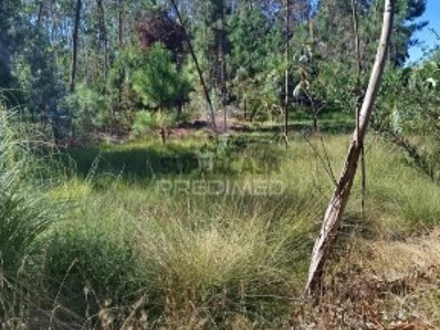 Terreno venda em Ovar, Aveiro