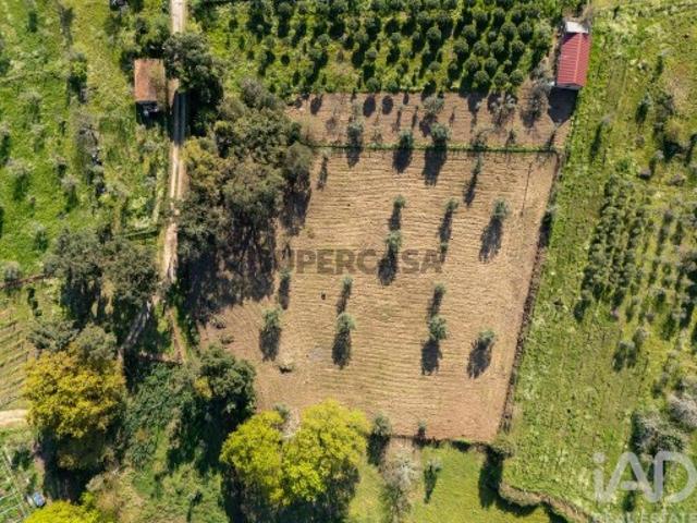 Terreno venda em Nova Foz do Dão, Couto Do Mosteiro