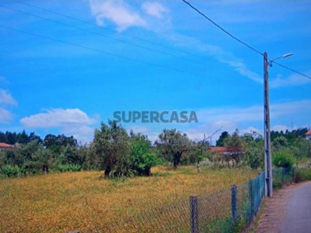 Terreno venda em Ovoa e Vimieiro, Santa Comba Dão