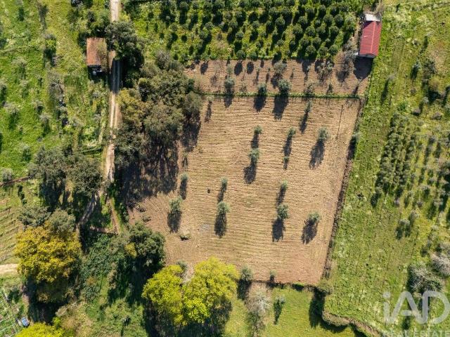 Terreno venda em Cagido, Couto Do Mosteiro