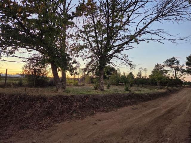 Terreno venda em Paços, Sabrosa