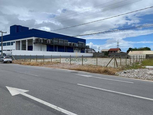 Terreno aluguel em Palhoça, Região Geográfica Intermediária de Florianópolis
