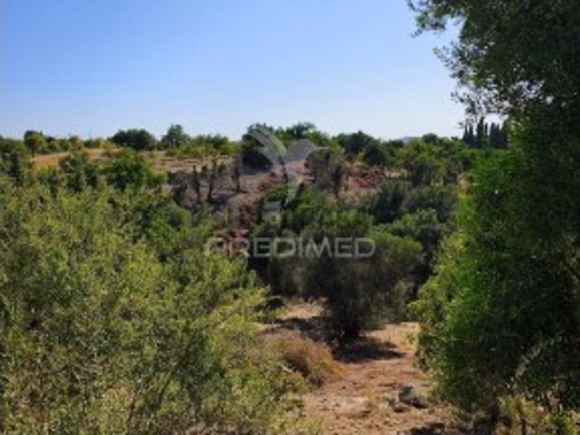 Terreno venda em Albufeira, Faro