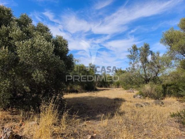Terreno venda em Albufeira, Faro