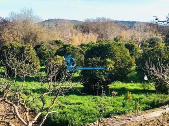 Terreno venda em Albufeira, Faro