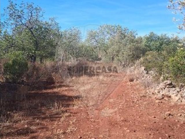Terreno venda em São Bartolomeu De Messines, Faro