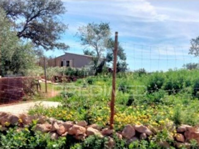 Terreno venda em Albufeira, Faro