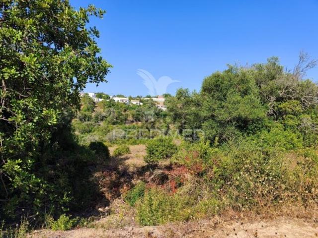 Terreno venda em Albufeira, Faro