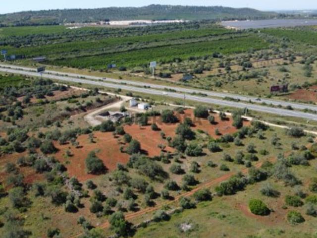 Terreno venda em Albufeira, Faro