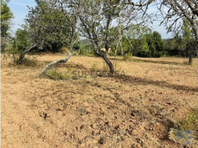 Terreno venda em Albufeira, Faro