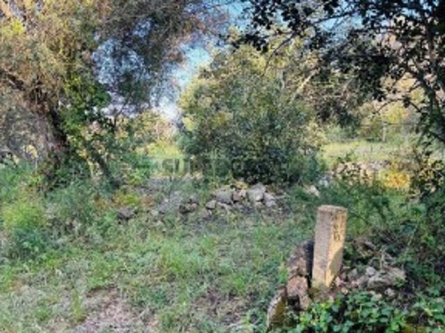 Terreno venda em Albufeira, Faro