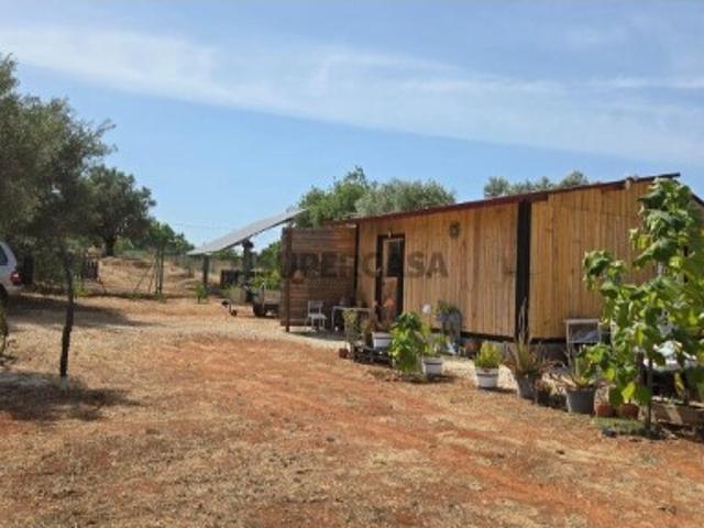 Terreno venda em São Bartolomeu De Messines, Faro