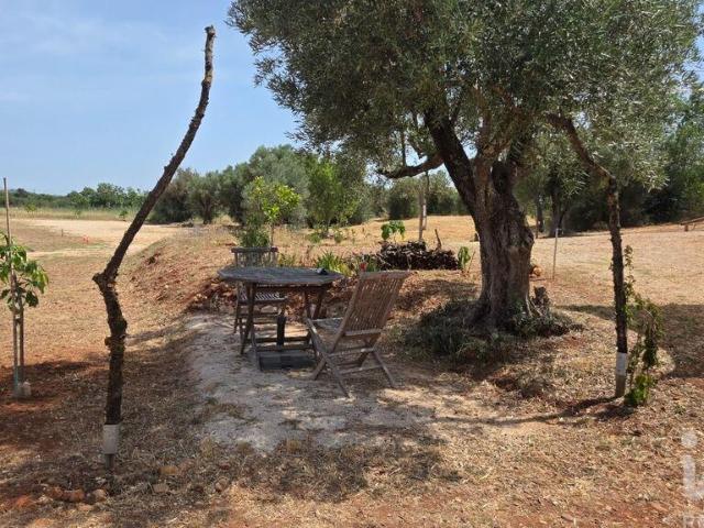 Terreno venda em Portela de Messines, Albufeira
