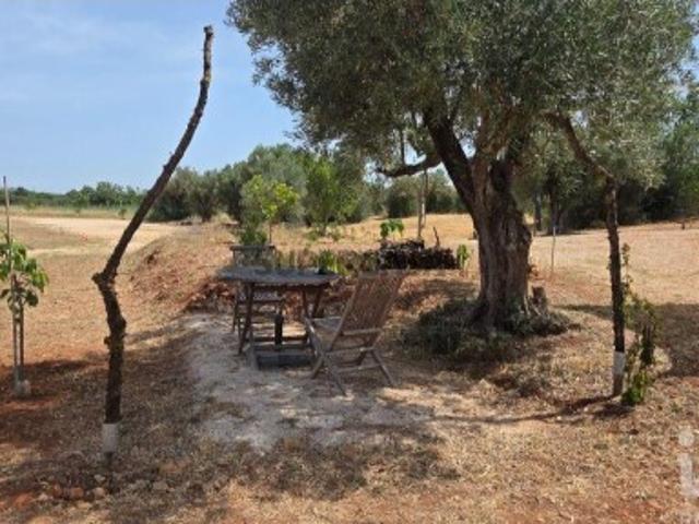 Terreno venda em Portela de Messines, Albufeira