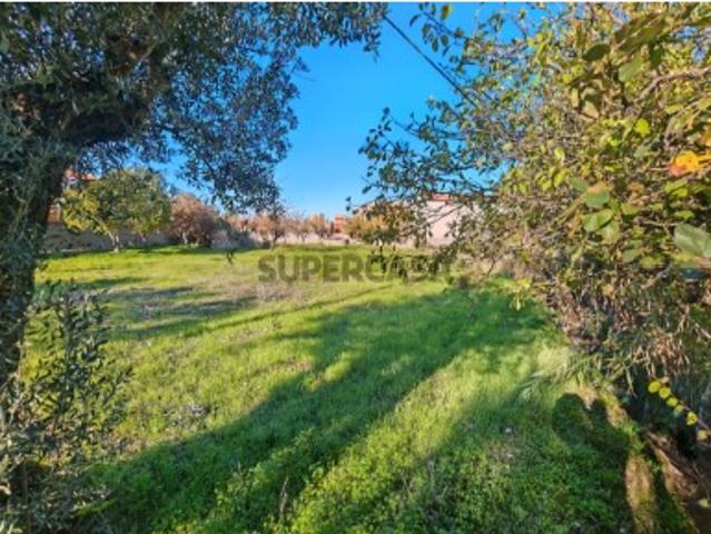 Terreno venda em Tomar, Santarém