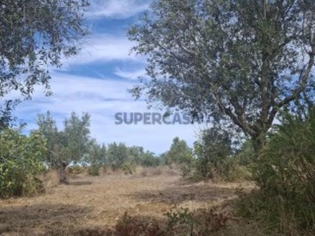 Terreno venda em Tomar, Santarém