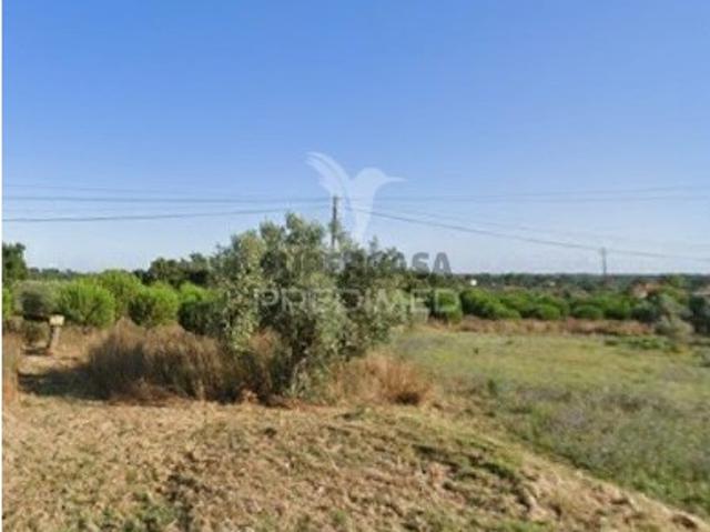 Terreno venda em Charneca da Peralva, Tomar