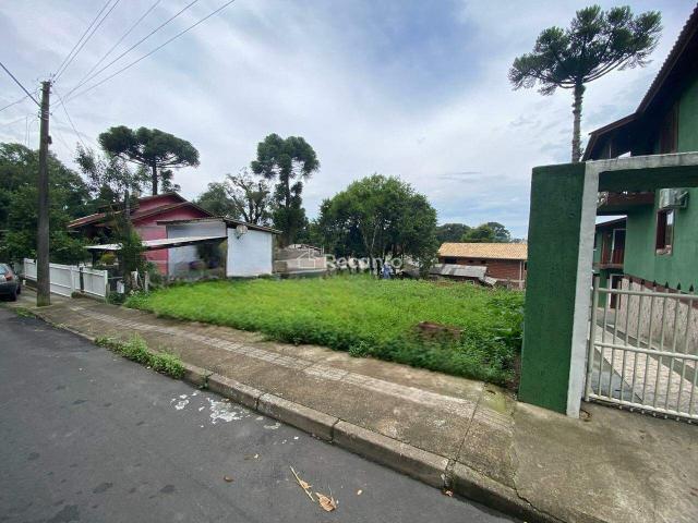 Terreno venda em Canela