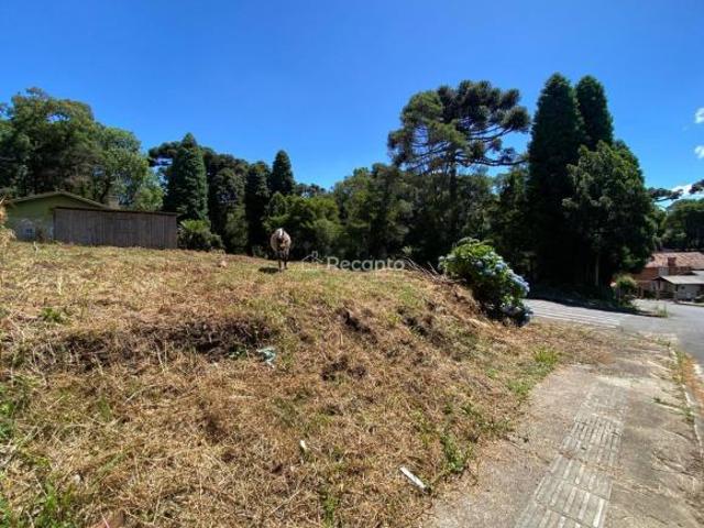 Terreno venda em Canela