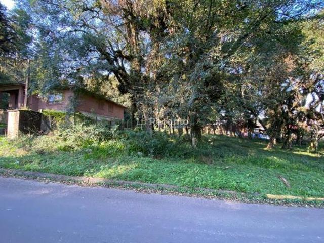 Terreno venda em Região Geográfica Imediata de Caxias do Sul, Canela