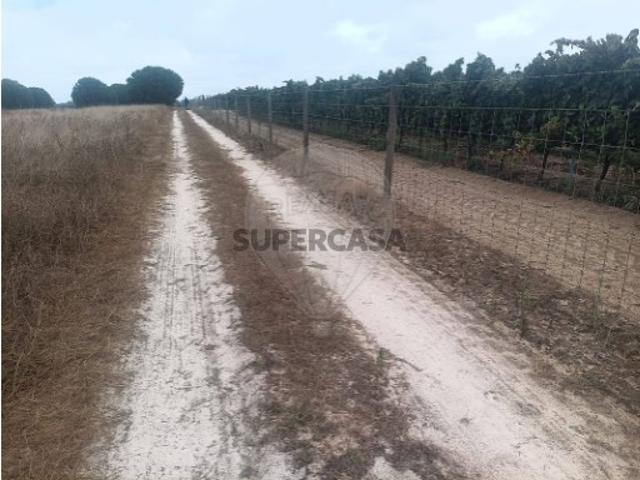 Terreno venda em Palmela, Setúbal