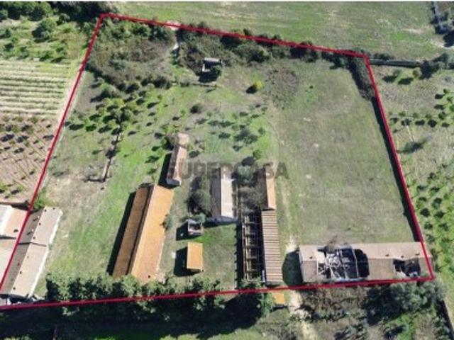 Terreno venda em Palmela (Noroeste), Palmela