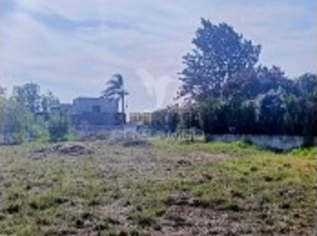 Terreno venda em Palmela