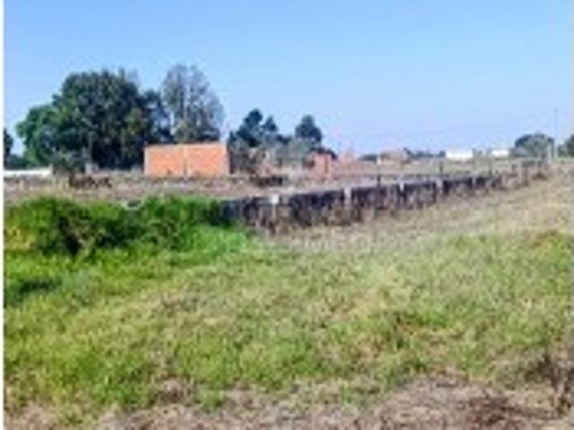 Terreno venda em Palmela