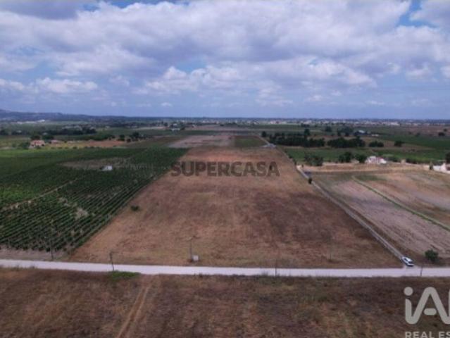 Terreno venda em Palmela, Setúbal