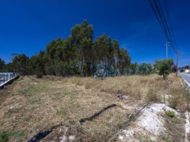 Terreno venda em Palmela, Setúbal