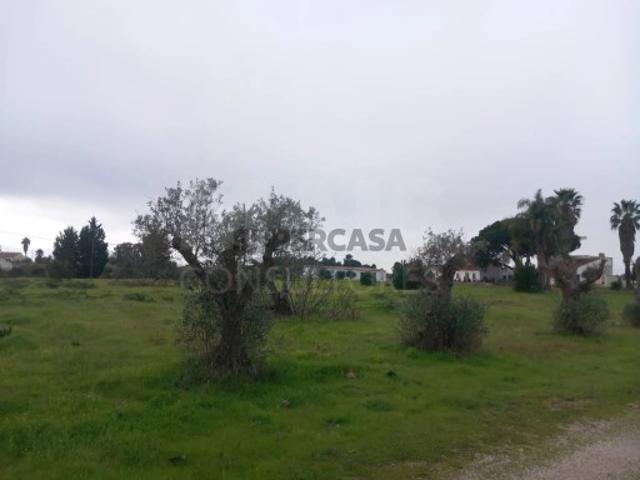 Terreno venda em Palmela, Setúbal