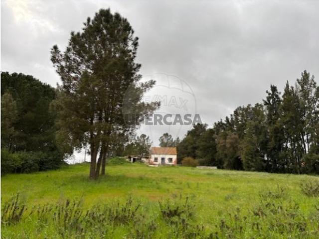 Terreno venda em Palmela
