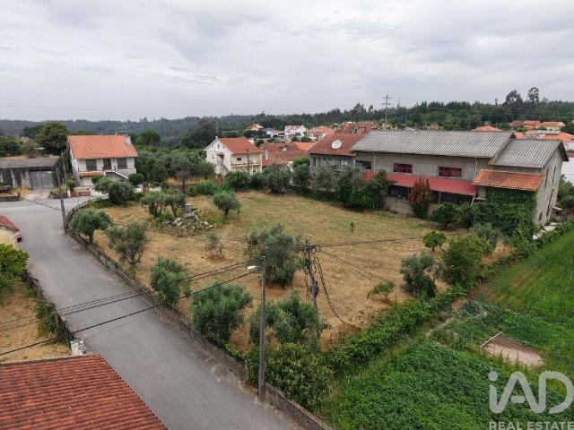 Terreno venda em Póvoa de Santo Amaro, Carregal Do Sal