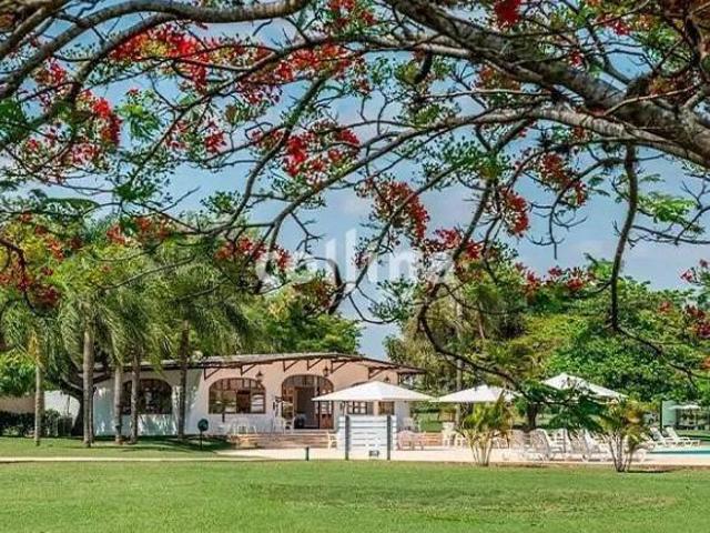 Terreno venda em Região Imediata de Avaré, Paranapanema